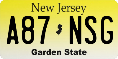 NJ license plate A87NSG