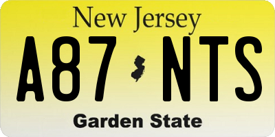 NJ license plate A87NTS