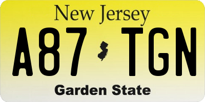 NJ license plate A87TGN