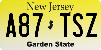 NJ license plate A87TSZ