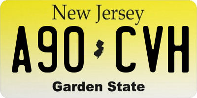 NJ license plate A90CVH
