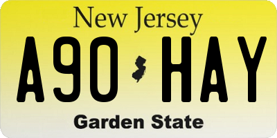 NJ license plate A90HAY