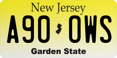 NJ license plate A90OWS