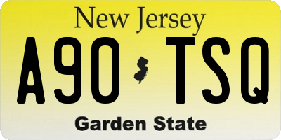 NJ license plate A90TSQ