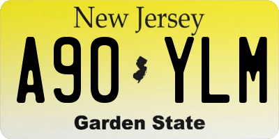 NJ license plate A90YLM