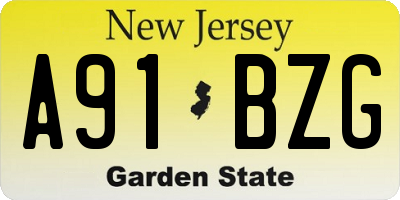 NJ license plate A91BZG