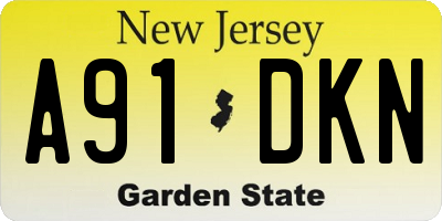 NJ license plate A91DKN