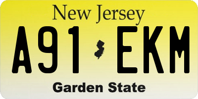 NJ license plate A91EKM