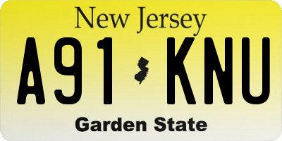 NJ license plate A91KNU