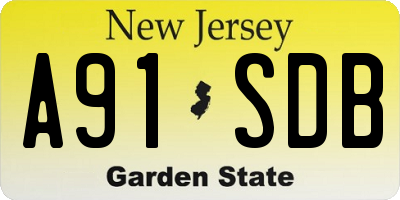 NJ license plate A91SDB