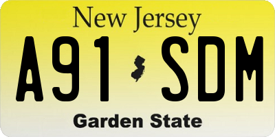 NJ license plate A91SDM