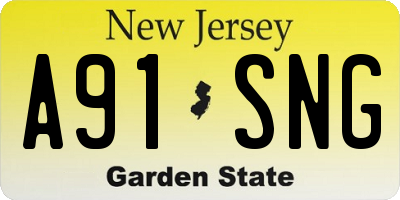 NJ license plate A91SNG