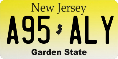 NJ license plate A95ALY