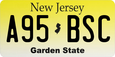 NJ license plate A95BSC