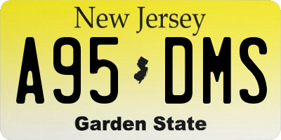 NJ license plate A95DMS