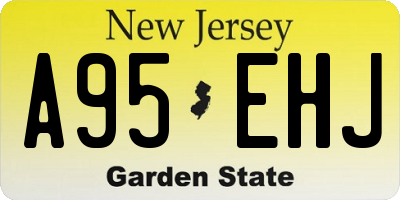 NJ license plate A95EHJ
