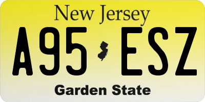 NJ license plate A95ESZ