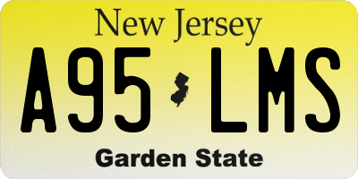 NJ license plate A95LMS