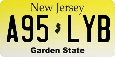 NJ license plate A95LYB
