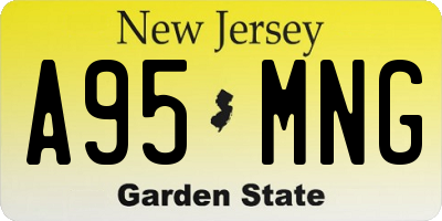NJ license plate A95MNG