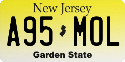 NJ license plate A95MOL