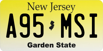 NJ license plate A95MSI