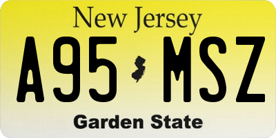 NJ license plate A95MSZ