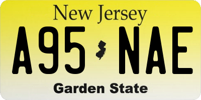 NJ license plate A95NAE