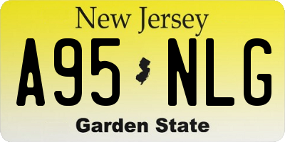 NJ license plate A95NLG