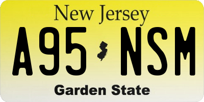 NJ license plate A95NSM
