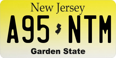 NJ license plate A95NTM