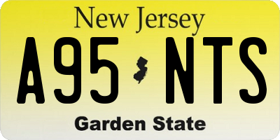 NJ license plate A95NTS