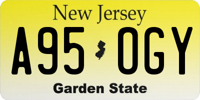 NJ license plate A95OGY