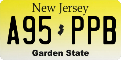 NJ license plate A95PPB