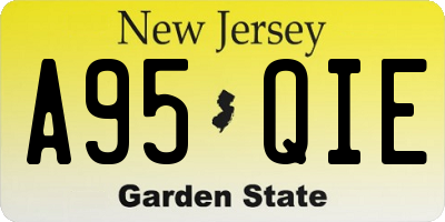 NJ license plate A95QIE