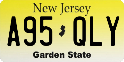 NJ license plate A95QLY
