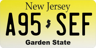 NJ license plate A95SEF