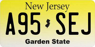 NJ license plate A95SEJ
