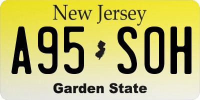 NJ license plate A95SOH
