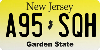 NJ license plate A95SQH