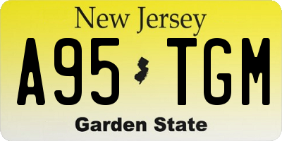 NJ license plate A95TGM