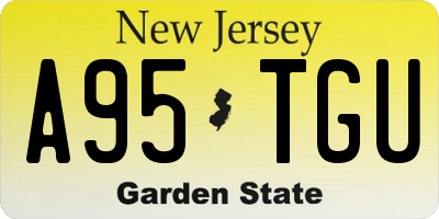 NJ license plate A95TGU