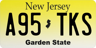 NJ license plate A95TKS