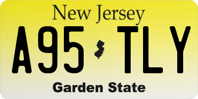 NJ license plate A95TLY