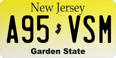 NJ license plate A95VSM
