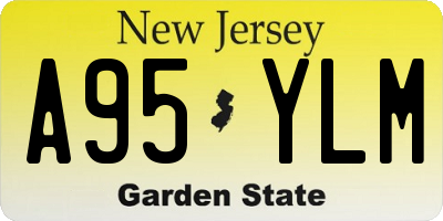 NJ license plate A95YLM