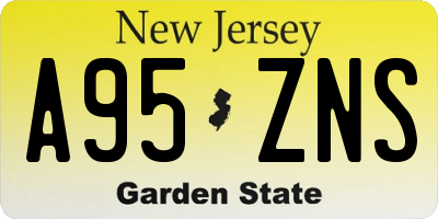 NJ license plate A95ZNS