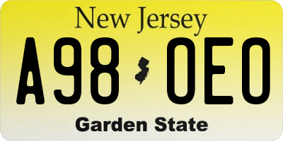 NJ license plate A98OEO