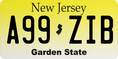 NJ license plate A99ZIB