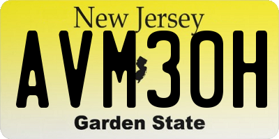 NJ license plate AVM30H